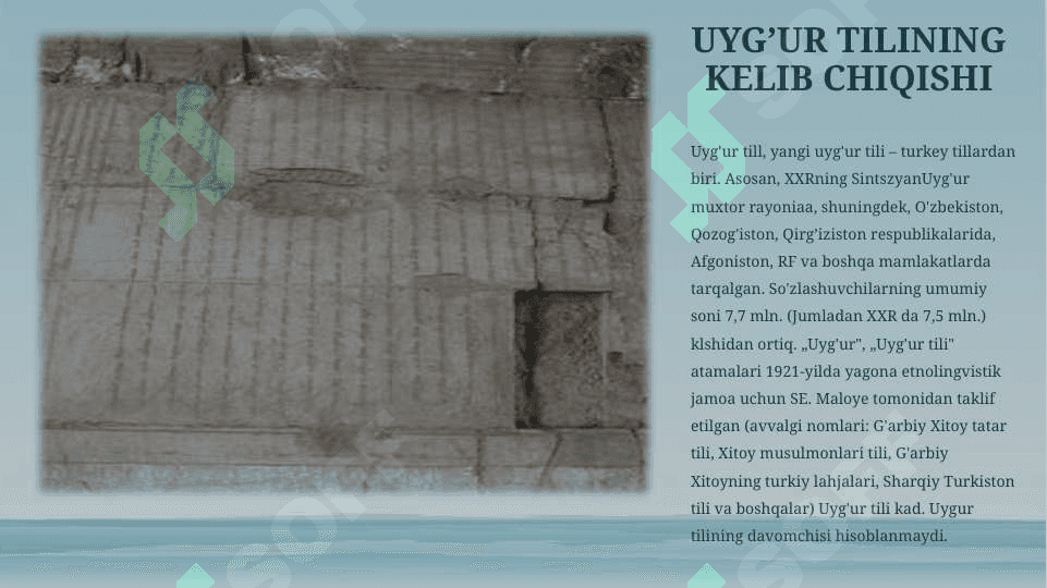 Uyg'urlar 6