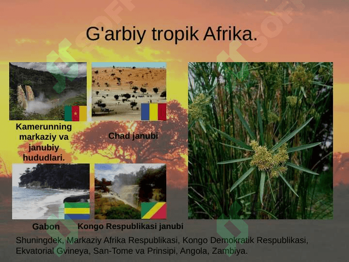 Afrika xalqlari 8