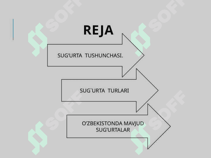 Sug'urta 2