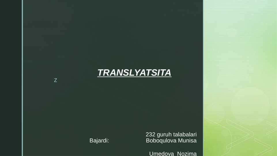 Translyatsiya 1