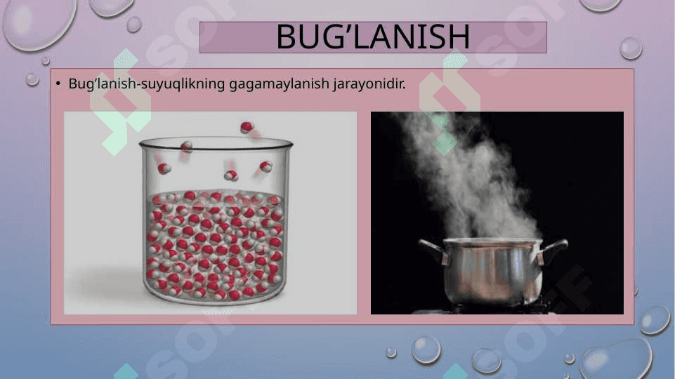 Qaynash,buģlanish va kondidatsiya 3