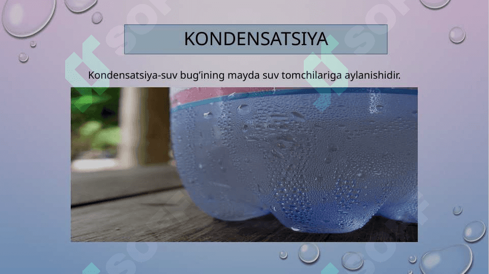 Qaynash,buģlanish va kondidatsiya 4