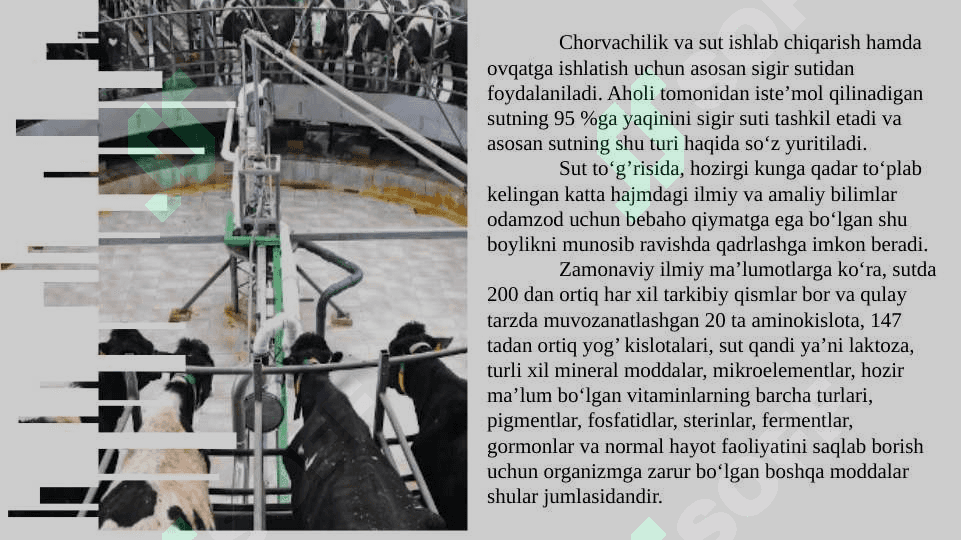 Sut va sut mahsulotlarini ishlab chiqarish texnologiyasi 7