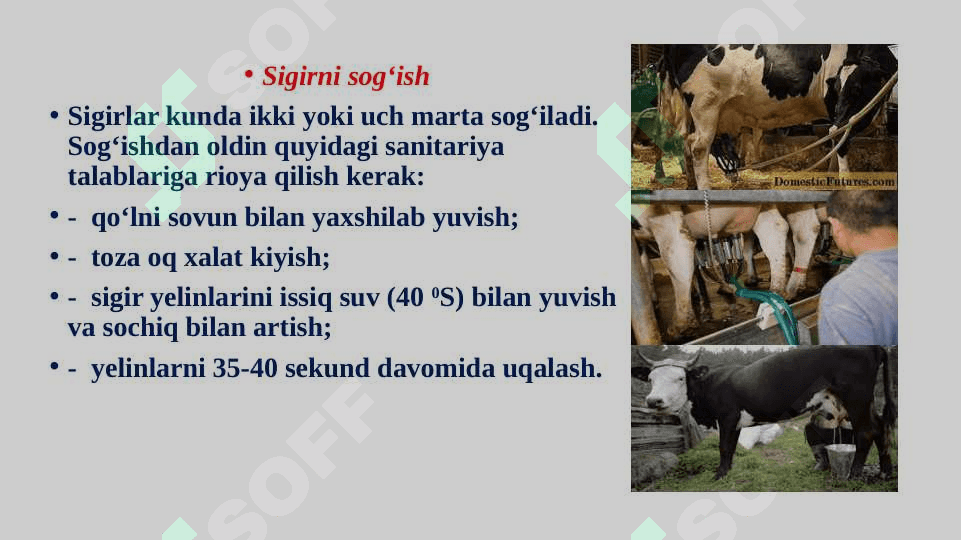 Sut va sut mahsulotlarini ishlab chiqarish texnologiyasi 8
