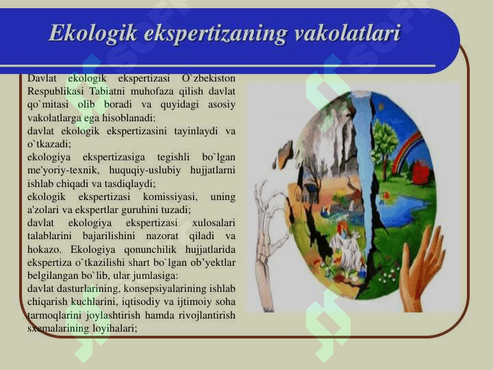 Ppt 8