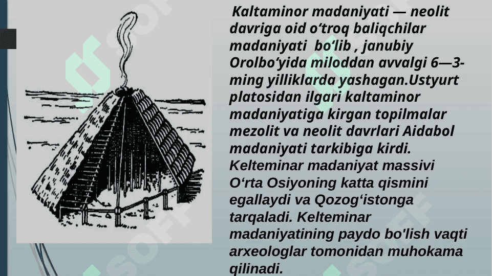 Kaltaminor Madaniyati 3