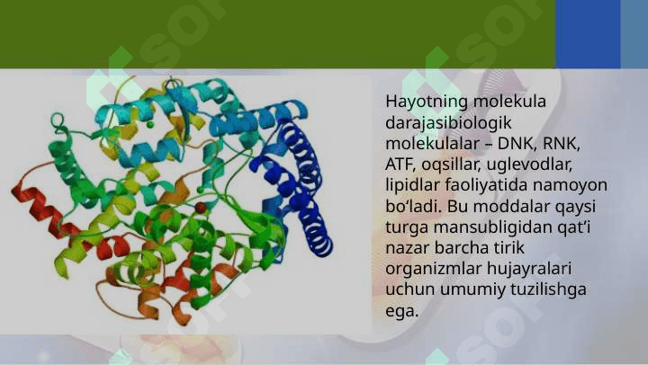 Uglevodlar va lipidlar. 2
