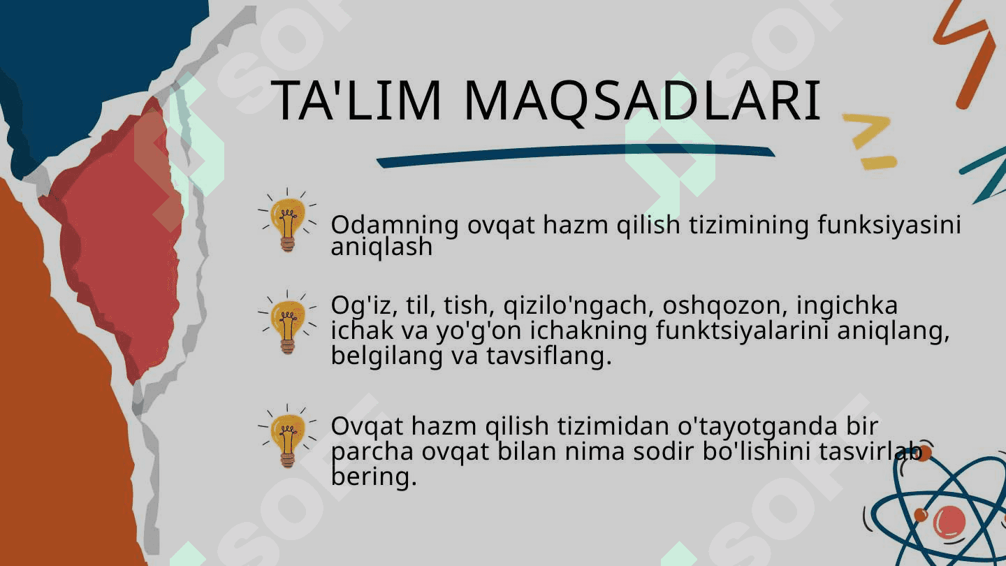 Ovqat hazm qilish tizimi 2