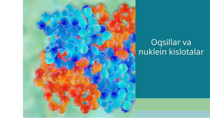 Oqsillar va nuklein kislotalar 1