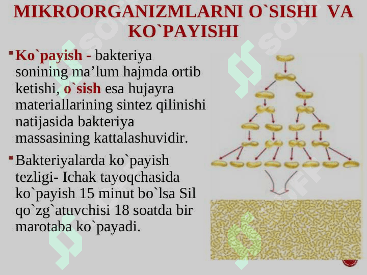 Bakteriyalar fiziologiyasi. Oziqlanish tipi va mexanizmi bo‘yicha tasnifi. Oziq muhitlar tasnifi 5