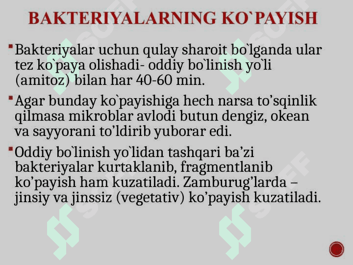 Bakteriyalar fiziologiyasi. Oziqlanish tipi va mexanizmi bo‘yicha tasnifi. Oziq muhitlar tasnifi 6