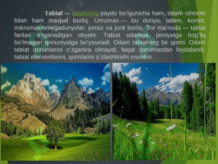 Tabiat haqida asosiy tushunchalar (mexanik, tovush, issiqlik, yorug'lik, elektr va magnit hodisalari va ularning tavsifi; moddalar va ularning turlari, noorganik va organik birikmalar; hayot (tiriklik) va uning tashkiliy darajalari, organizmlar xilma- xilligi (o'simliklar, hayvonlar va odam). Tabiat komponentlari.. 3