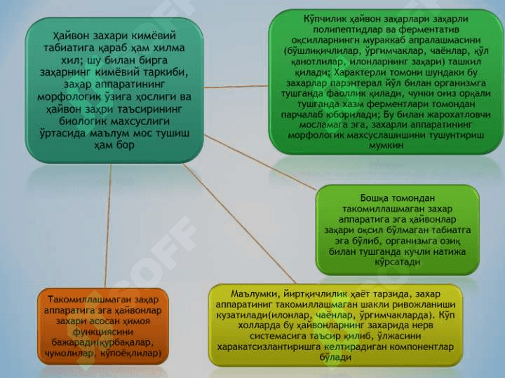 ZAHARLI HAYVONLAR 6