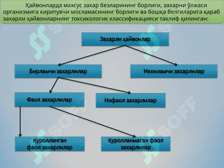 ZAHARLI HAYVONLAR 8