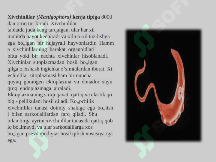 Odamlarda parazitlik qiluvchi xivchinlilar (tripanasoma, trixomonada, lyambliya, leyshmaniya) 2
