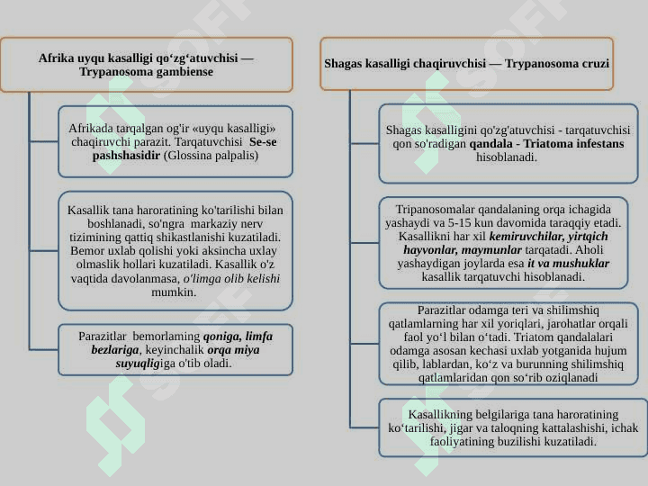 Odamlarda parazitlik qiluvchi xivchinlilar (tripanasoma, trixomonada, lyambliya, leyshmaniya) 3