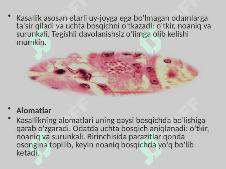 Odamlarda parazitlik qiluvchi xivchinlilar (tripanasoma, trixomonada, lyambliya, leyshmaniya) 8