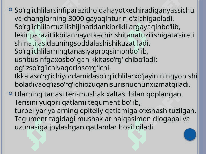 Odamlarda parazitlik qiluvchi so’rg’ichlilar:O’pka qurti,lentasimon so’rg’ich,qon qurtlari 2