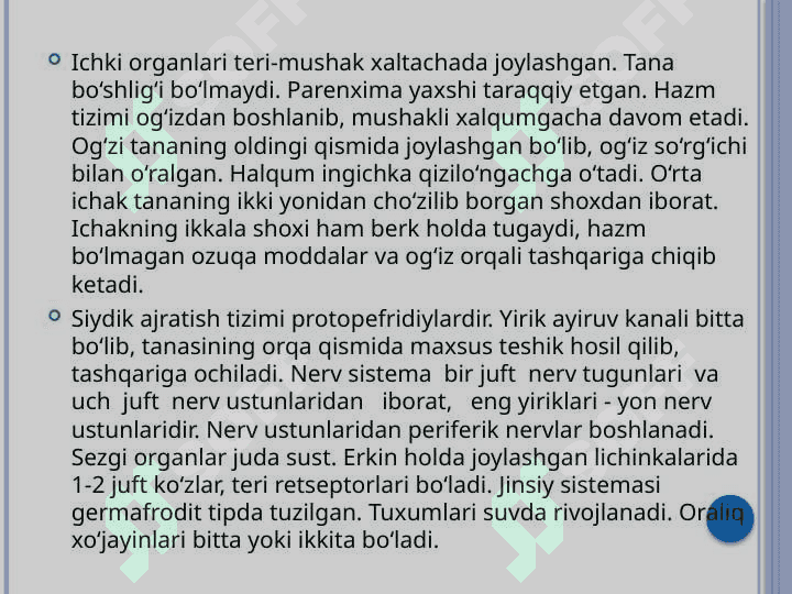 Odamlarda parazitlik qiluvchi so’rg’ichlilar:O’pka qurti,lentasimon so’rg’ich,qon qurtlari 3