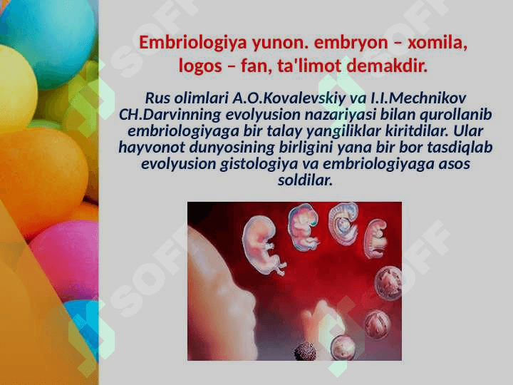 Embrional rivolanishning umumiy qonuniyatlarini 3