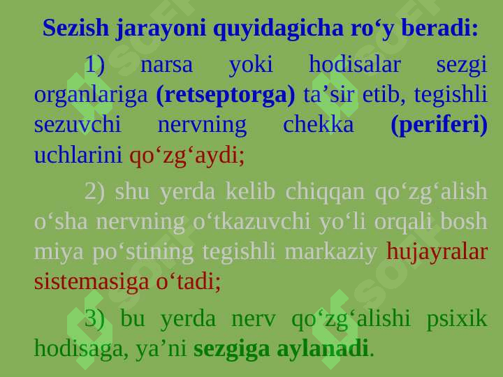sezgilar 3