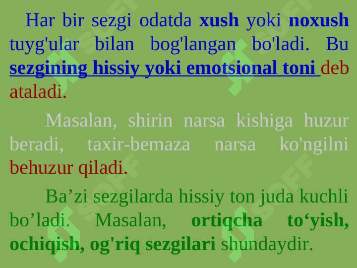 sezgilar 5