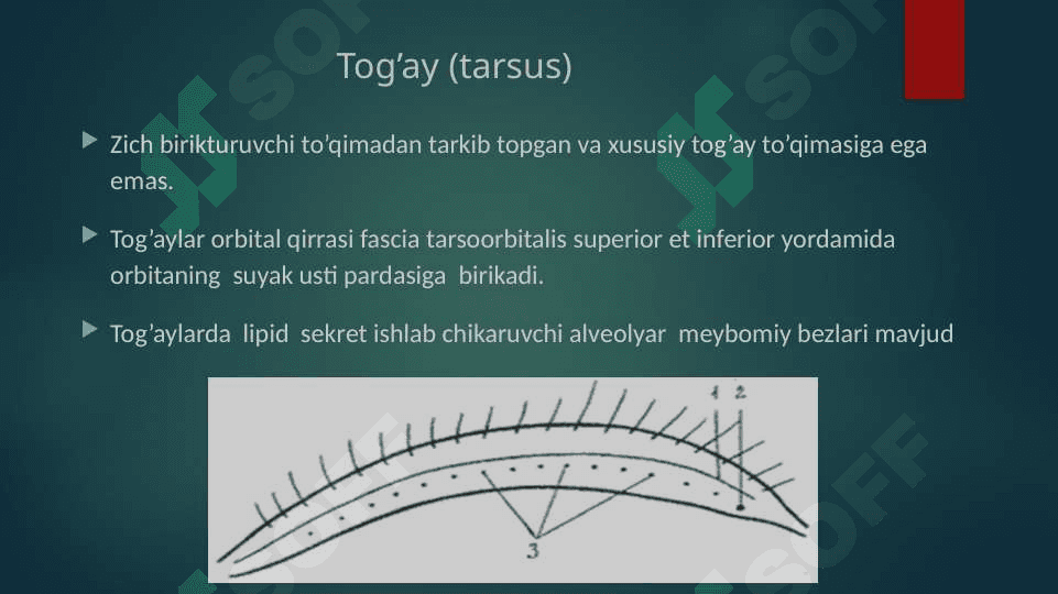Qovoq kasalliklari 8