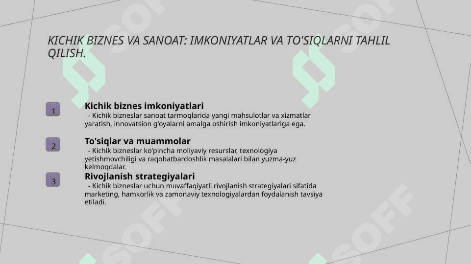 Sanoat tarmoglarida kichik biznesni rivojlantirish istiqbollari 5