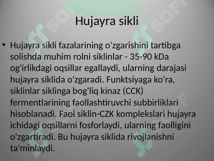 Prokariot va eukariot DNK polemerazaari 8