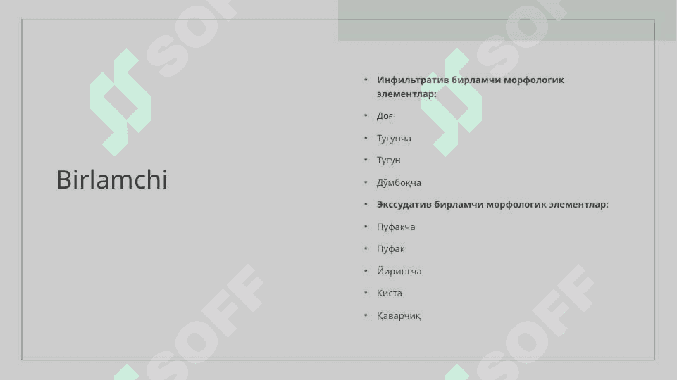 Birlamchi va ikkilamchi morfologik elementlarini tuzilishi 3