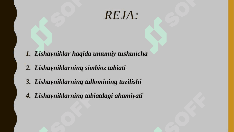 Lishayniklar bo'limi tavsifi, tallomining tuzilishi, xillari tabiatda va xalq xo‘jaligida ahamiyati 2