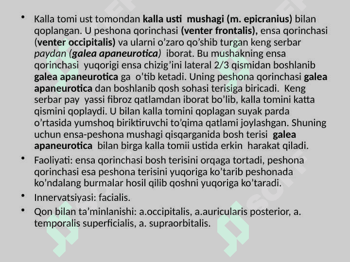 Bo‘yin mushaklari. Bosh mushaklari. Chaynov va mimika mushaklari. Ularning yoshga doir xususiyatlari 6