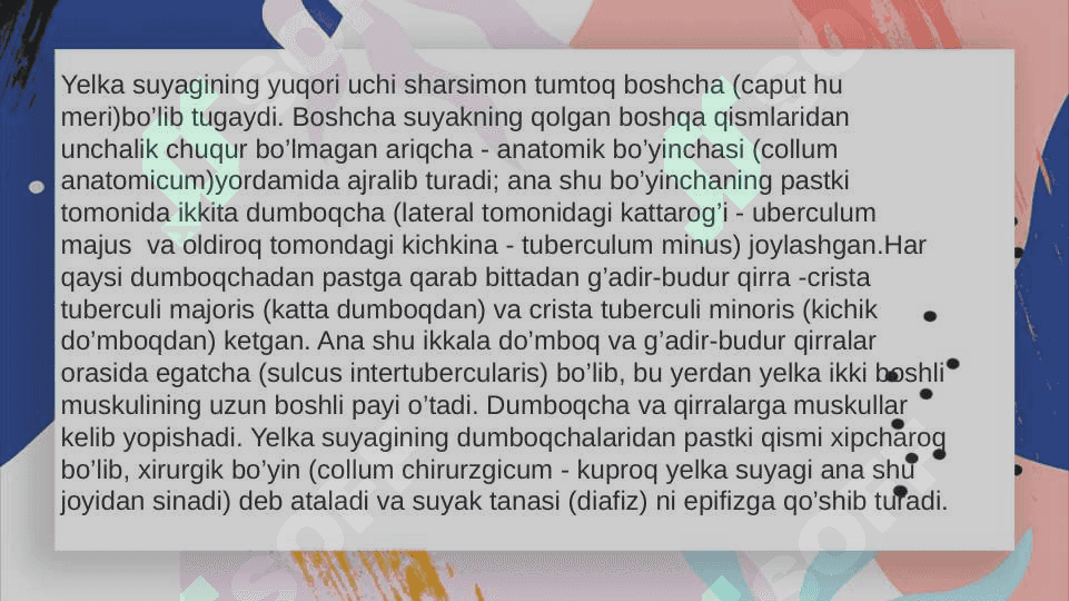 Qolning erkin turgan bolimidagi suyaklar. Bosh skeleti 4