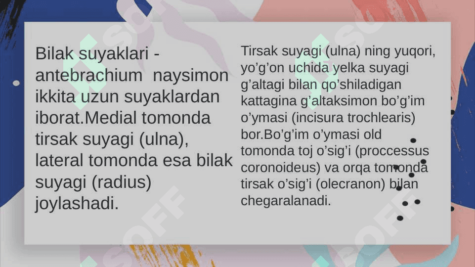 Qolning erkin turgan bolimidagi suyaklar. Bosh skeleti 5