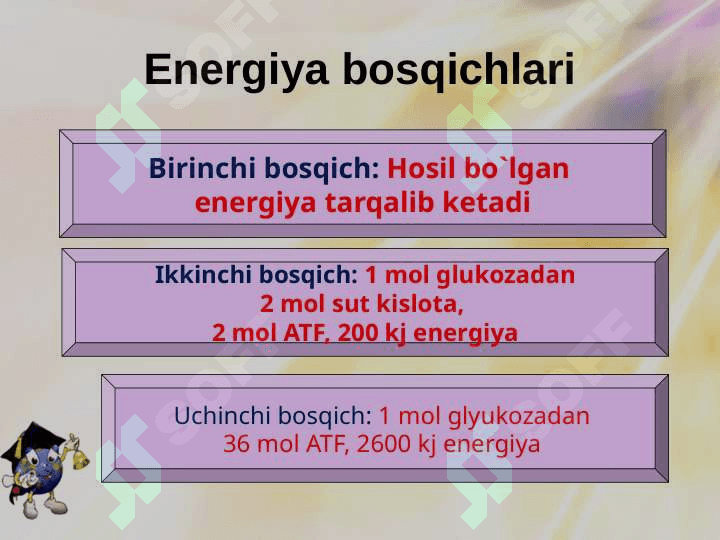 Hujayraga modda va energiya almashinuviga doir masalalar yechish 6