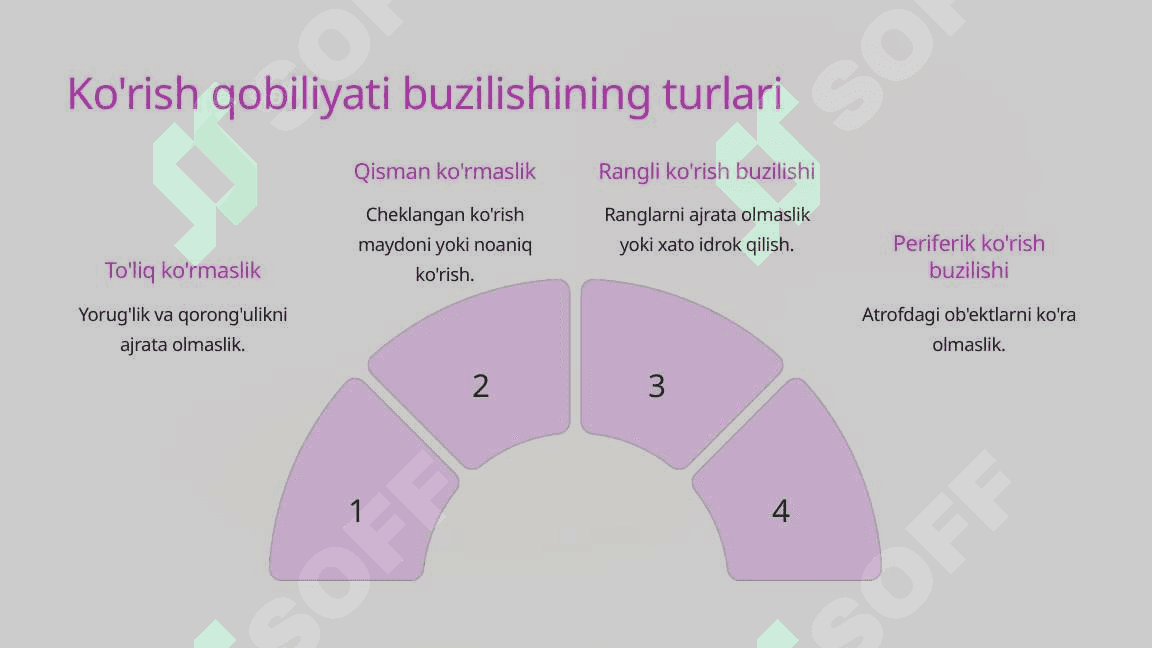Ko'zi ojiz bolalar uchun o'quv materiallarini moslashtirish 4