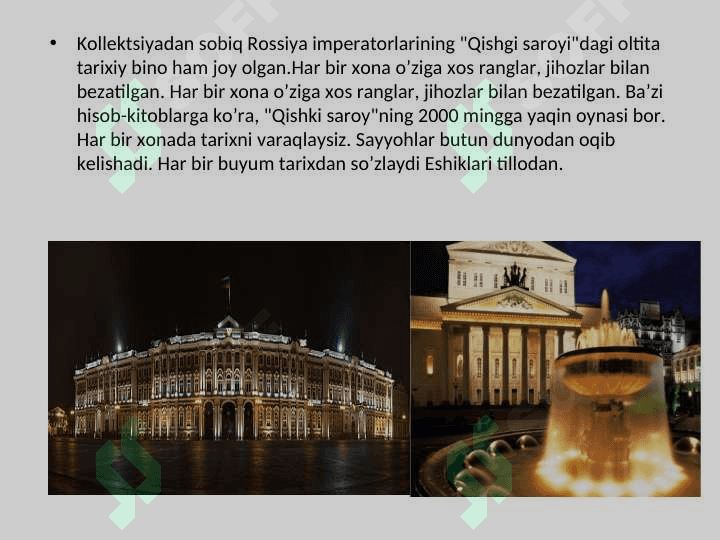 Rossiya Davlat muzeylari 5