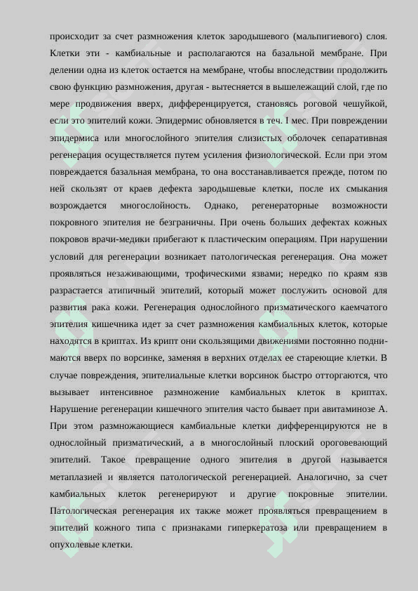 Строение и регенерация эпителиальной ткани, аномалии. 4