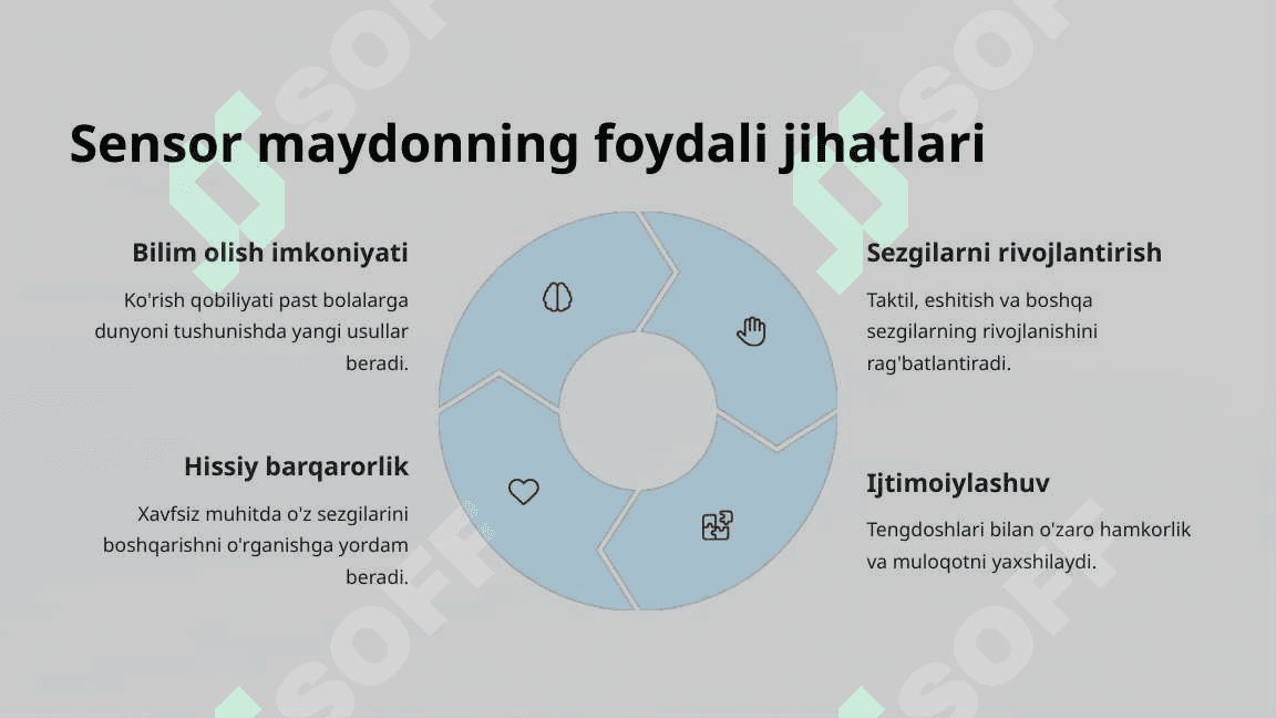 Ko'rish qobiliyati past bolalar uchun maktabda sensor maydon yaratish 4