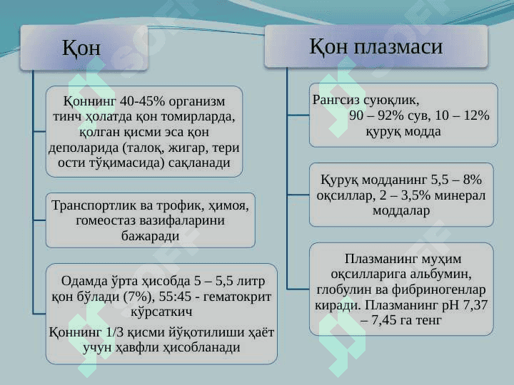ҚОН.  ҚОН АЙЛАНИШ ОРГАНЛАРИНИНГ ЁШ ХУСУСИЯТЛАРИ 3
