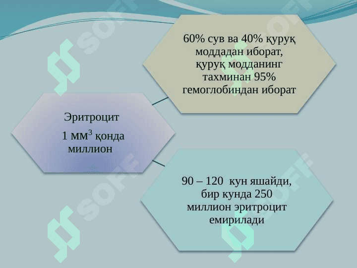 ҚОН.  ҚОН АЙЛАНИШ ОРГАНЛАРИНИНГ ЁШ ХУСУСИЯТЛАРИ 5
