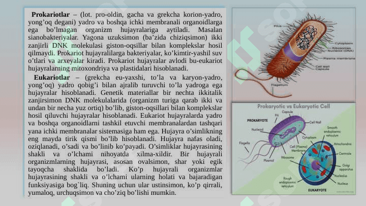 Oʻsimlik hujayralari kulturalaridan foydalanish istiqbollari. 5
