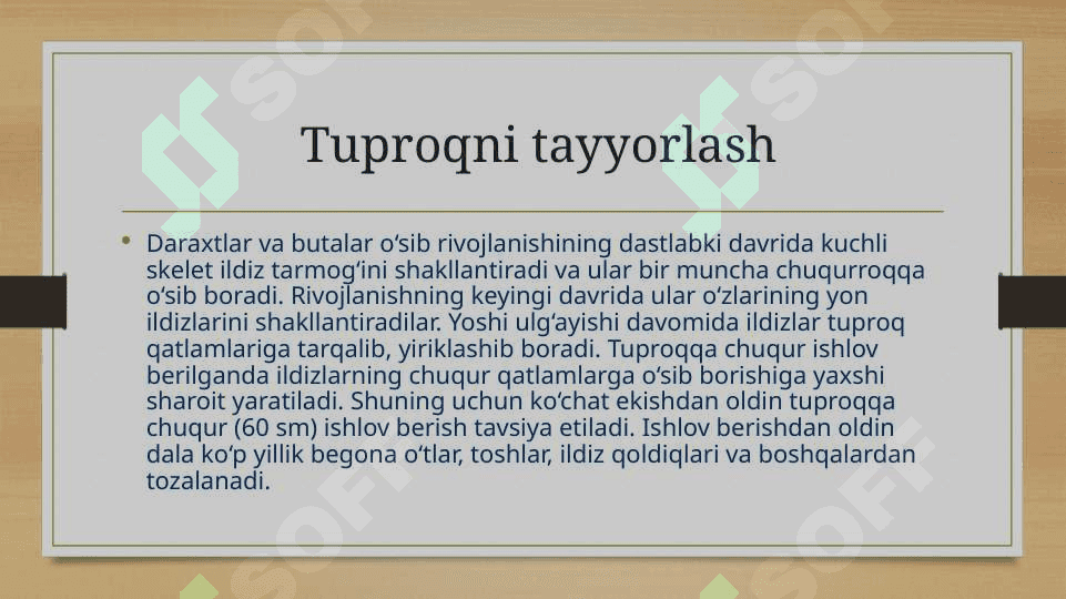 Shurlangan yerlarda asosiy shur yuvib bulingan keyin ekiladigan dastlabki uzlashtirish ekinlarini yetishtirish texnalogiyalari 2