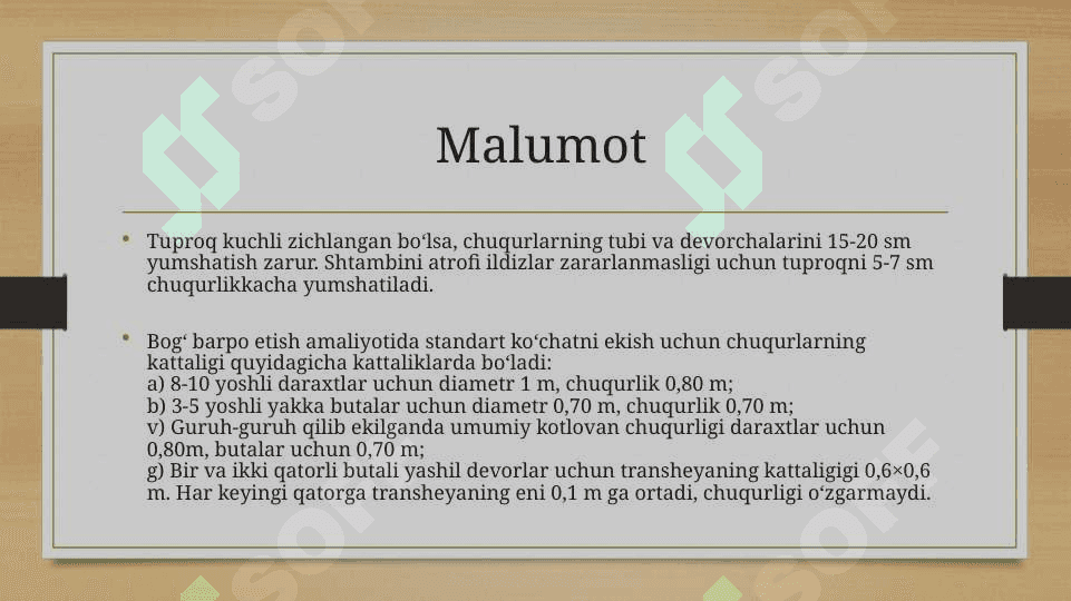 Shurlangan yerlarda asosiy shur yuvib bulingan keyin ekiladigan dastlabki uzlashtirish ekinlarini yetishtirish texnalogiyalari 4