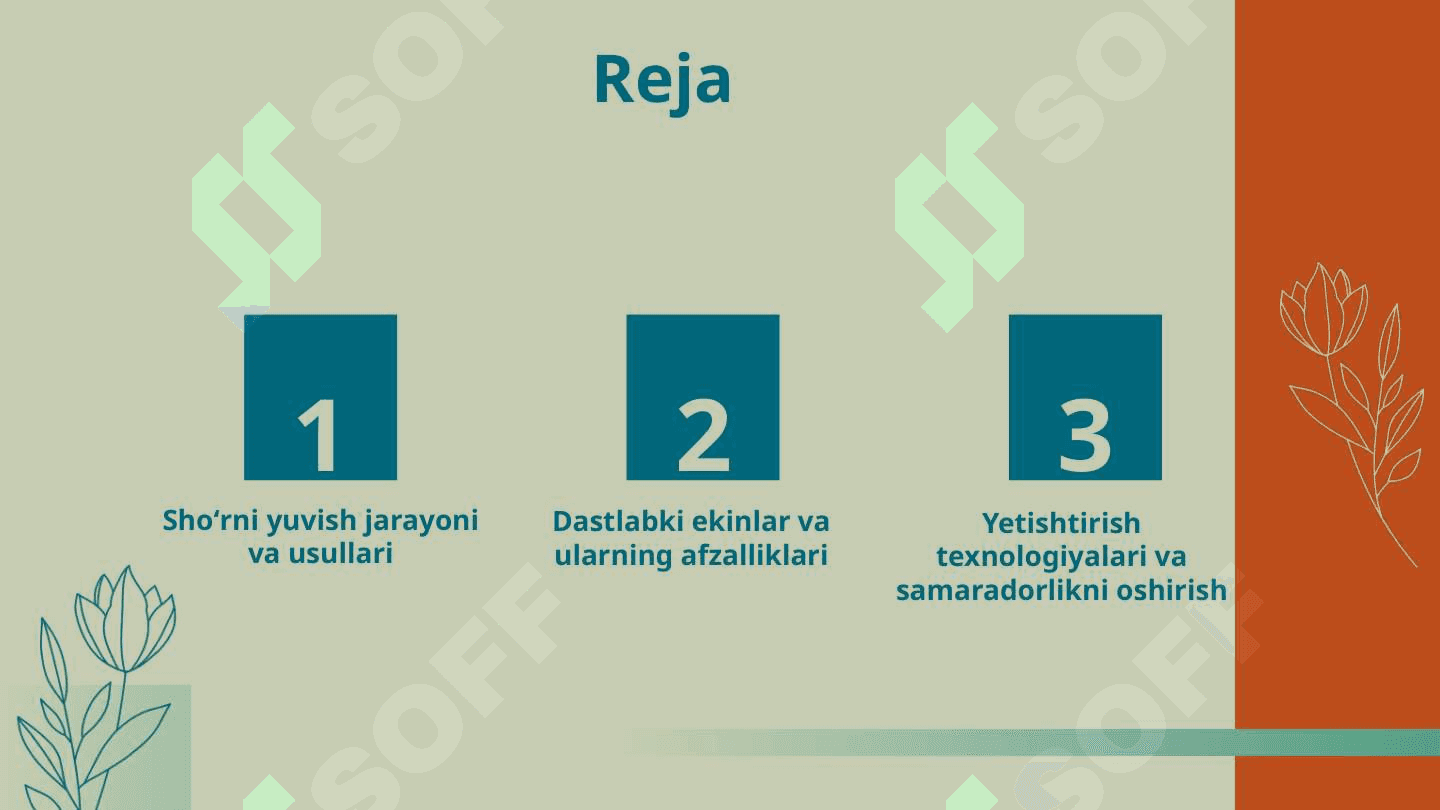 Shoʻrlangan yerlarda asosiy shoʻrni yuvib boʻlingandan keyin ekiladigan dastlabki oʻzlashtirish ekinlarini yetishtirish texnologiyalari 2