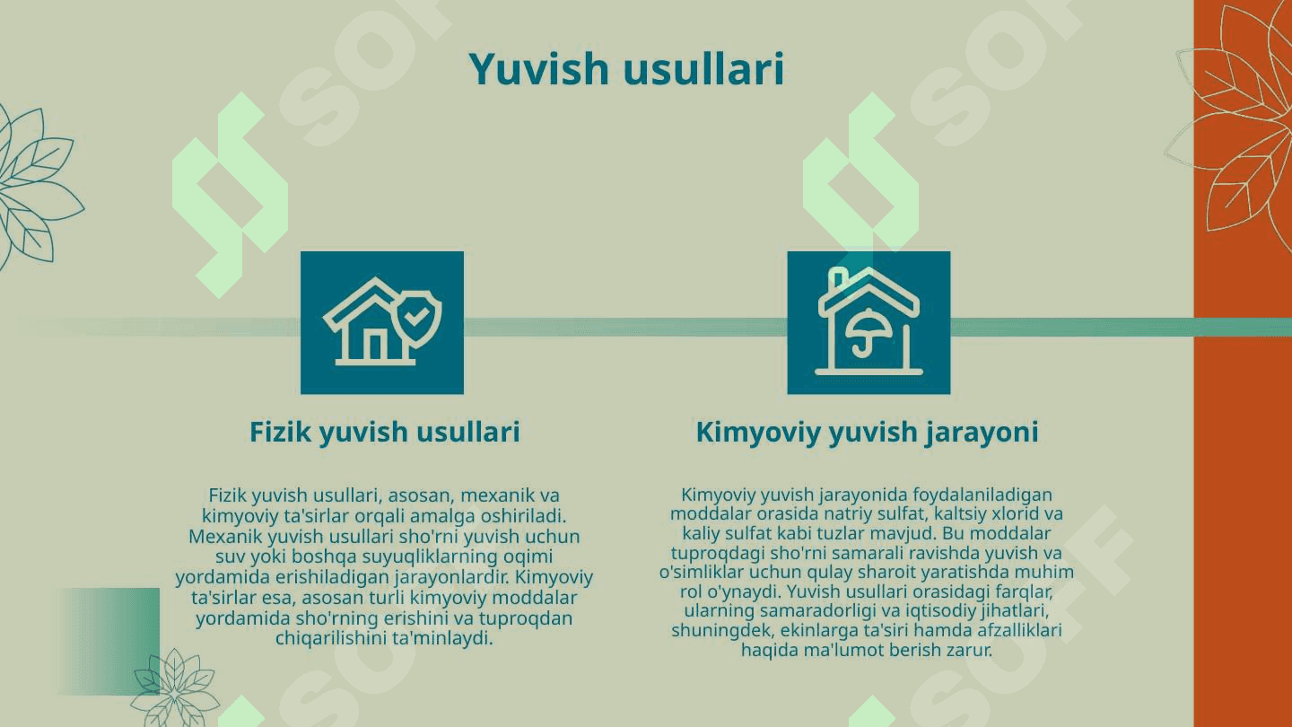 Shoʻrlangan yerlarda asosiy shoʻrni yuvib boʻlingandan keyin ekiladigan dastlabki oʻzlashtirish ekinlarini yetishtirish texnologiyalari 4