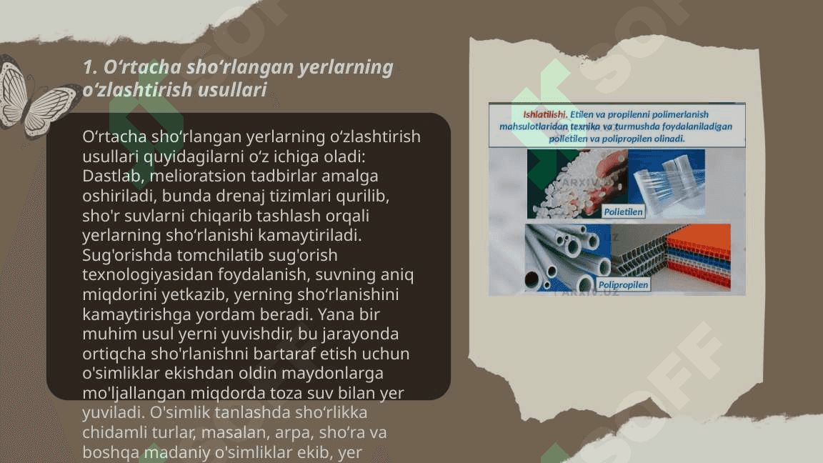Oʻrtacha va kuchli shoʻrlangan yerlarni oʻzlashtirish texnologiyasi va ulardan foydalanish yoʻllari 3