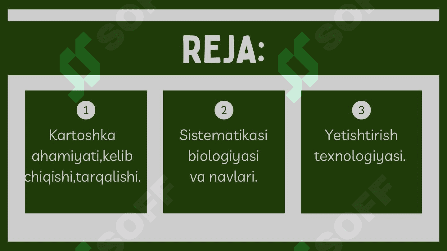 Kartoshka yetishtirish texnologiyasi 2