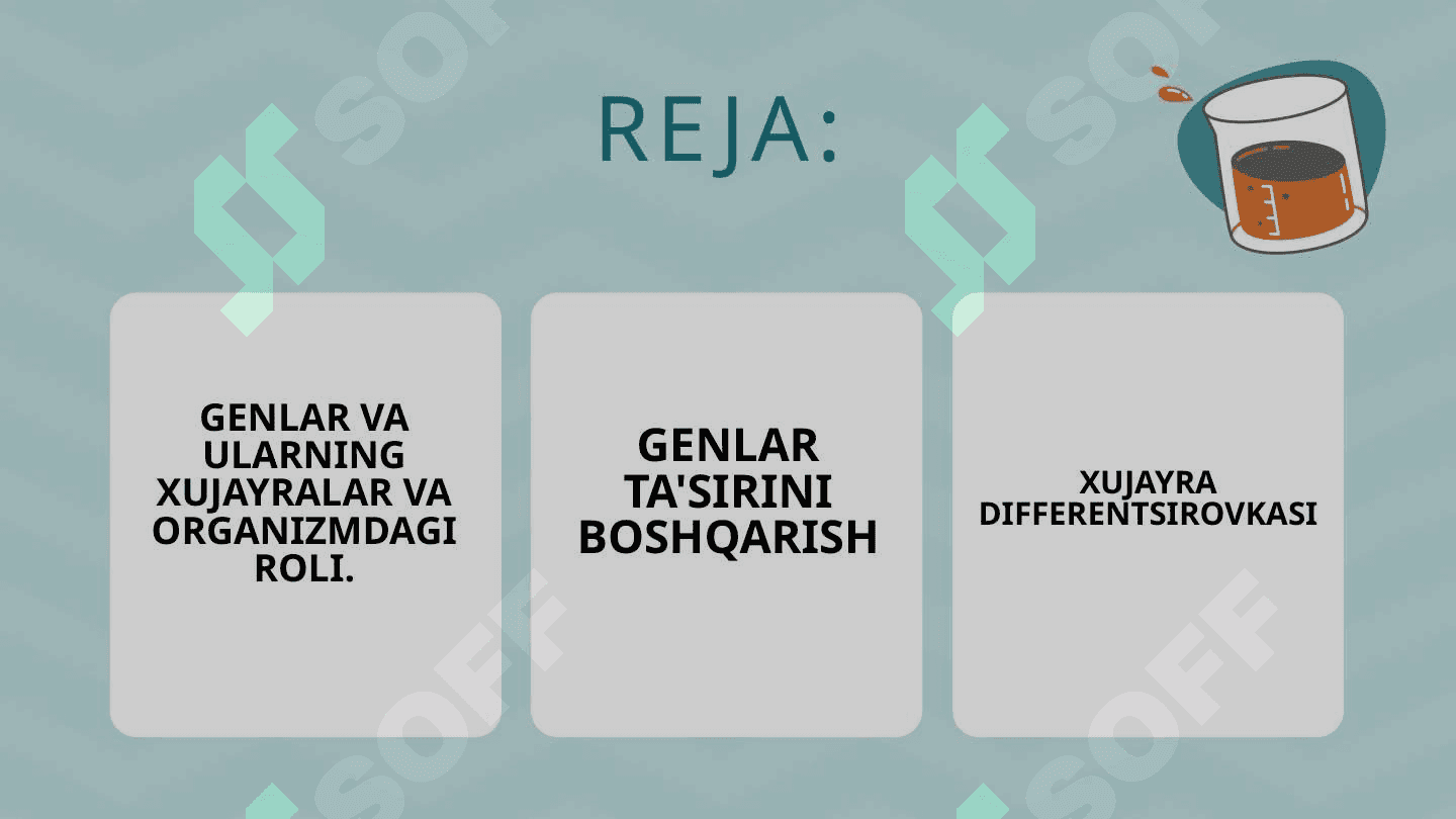 Genlar  ta'sirini  boshqarilishi, xujayra differentsirovkasi 2