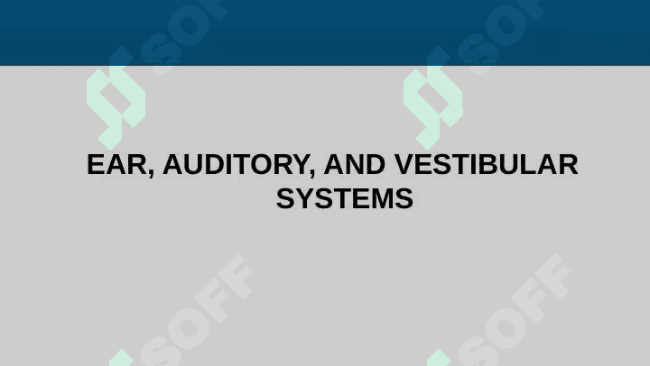 NEUROANATOMY - Auditory system 6